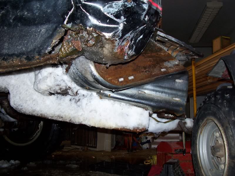 Over a foot of snow and cold... - Homesteading Questions