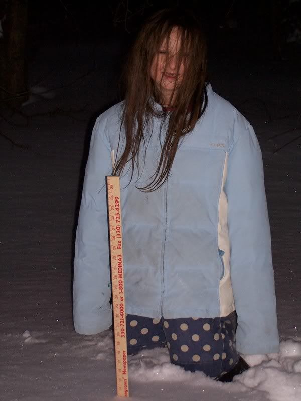 Over a foot of snow and cold... - Homesteading Questions