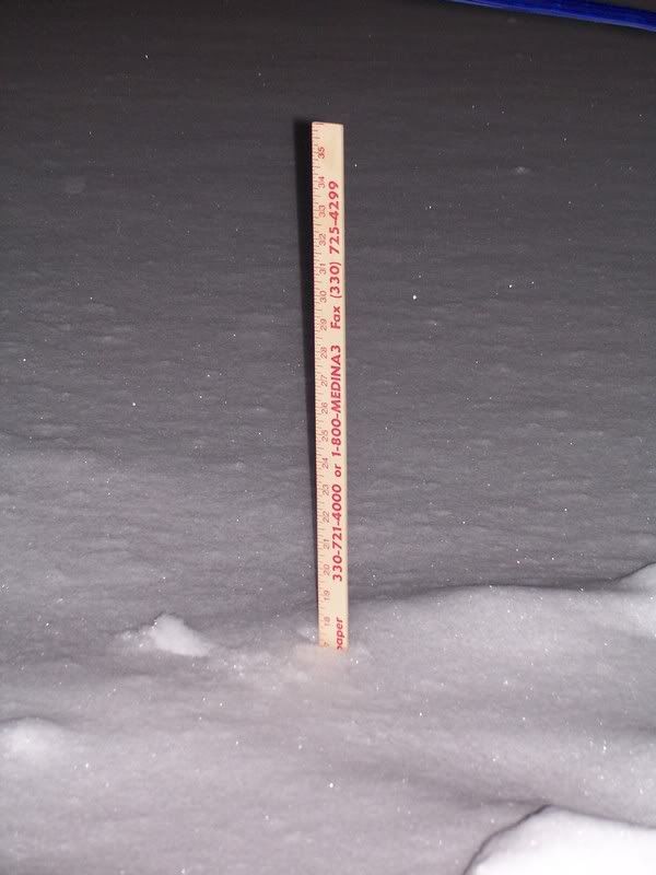 Over a foot of snow and cold... - Homesteading Questions