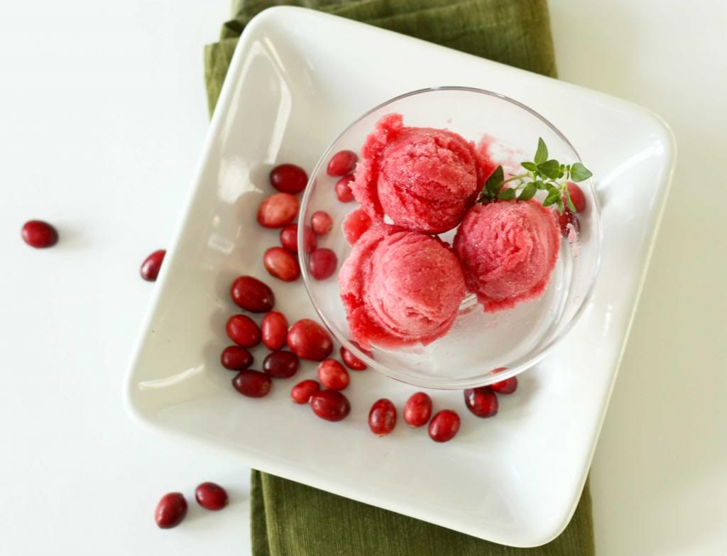 Cranberry orange sorbet