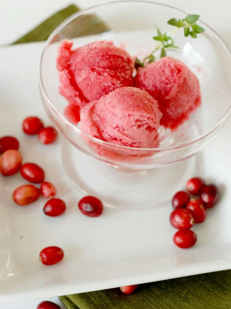 Cranberry orange sorbet