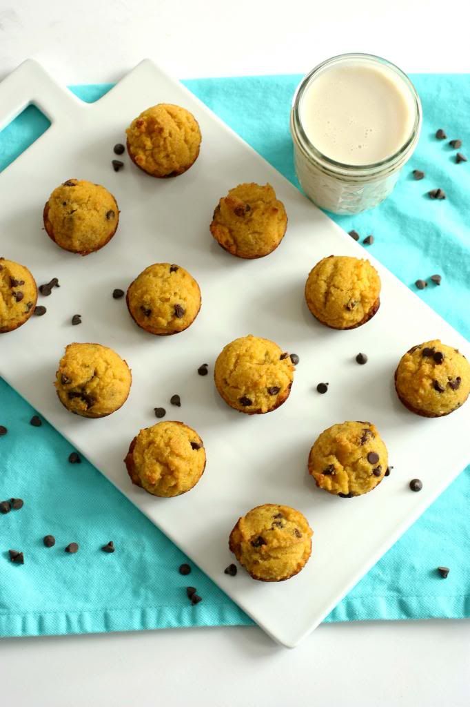 Chocolate graham crackers
