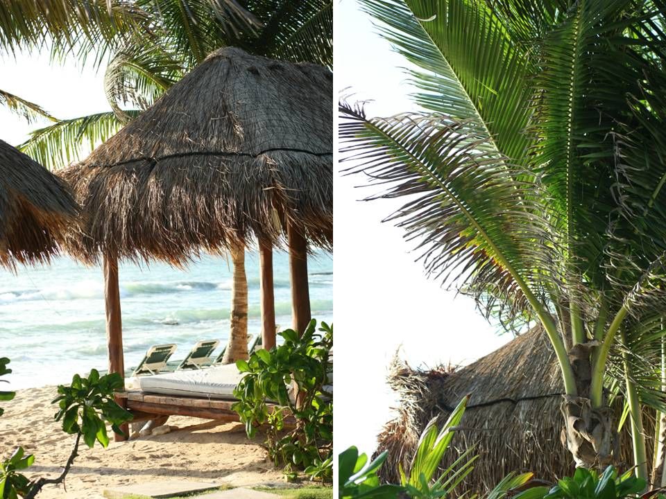 El Dorado Royale Casitas