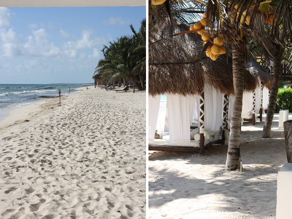 El Dorado Royale Casitas