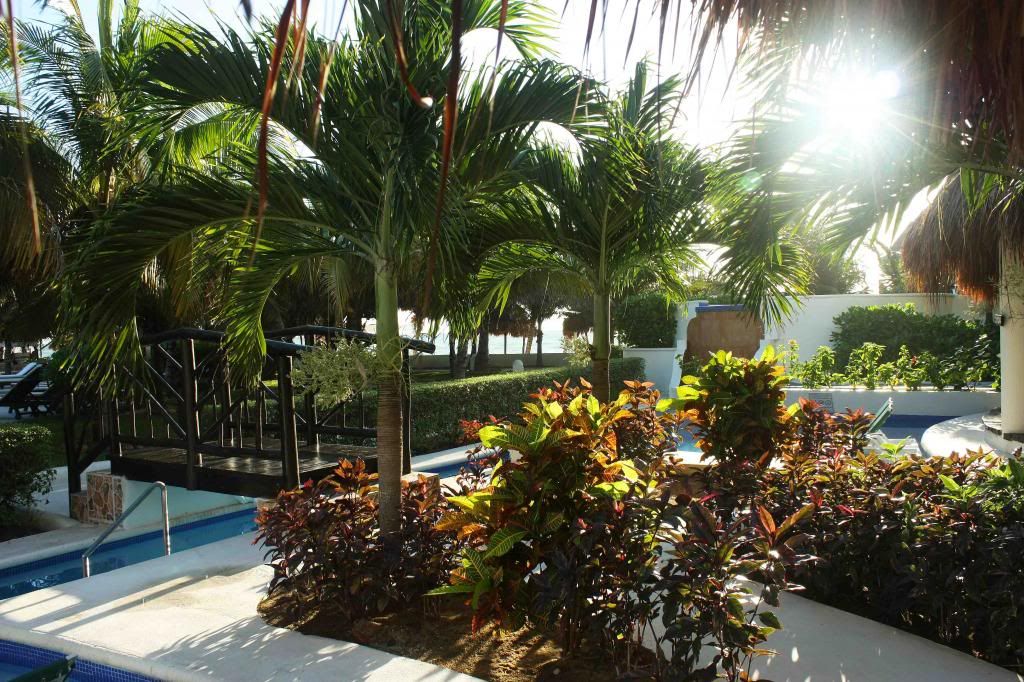 El Dorado Royale Casitas