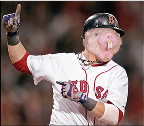 moleratpedroia.png