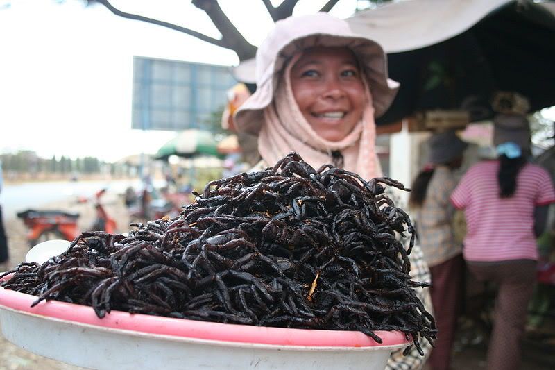 800px-Fried_spiders_Skuon_Cambodia.jpg