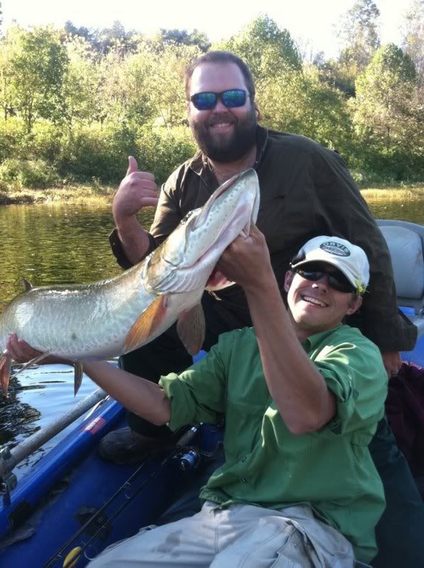 fishing report potomac perfect images are great