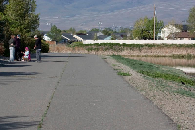 IMAGE: http://i110.photobucket.com/albums/n88/kdrozd52/Birds/AvocetNest4243sml.jpg