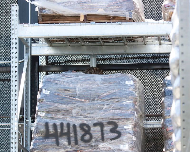 IMAGE: http://i110.photobucket.com/albums/n88/kdrozd52/Birds/Owl3577sml.jpg