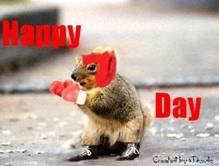 boxing-squirrel.jpg