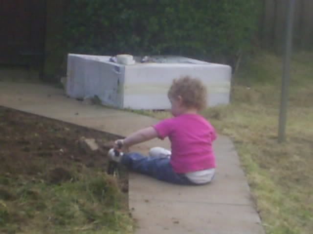 digginggarden.jpg