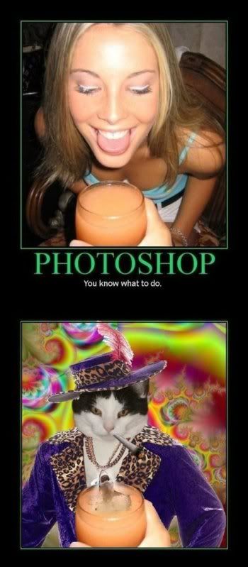 Posted Image