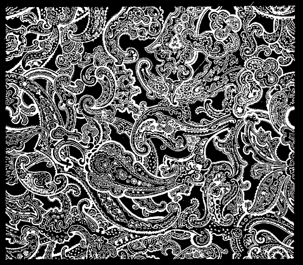 Black And White Paisley Wallpaper | Black And White Paisley Desktop