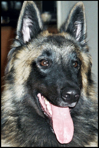 Photobucket - Video and Image Hosting