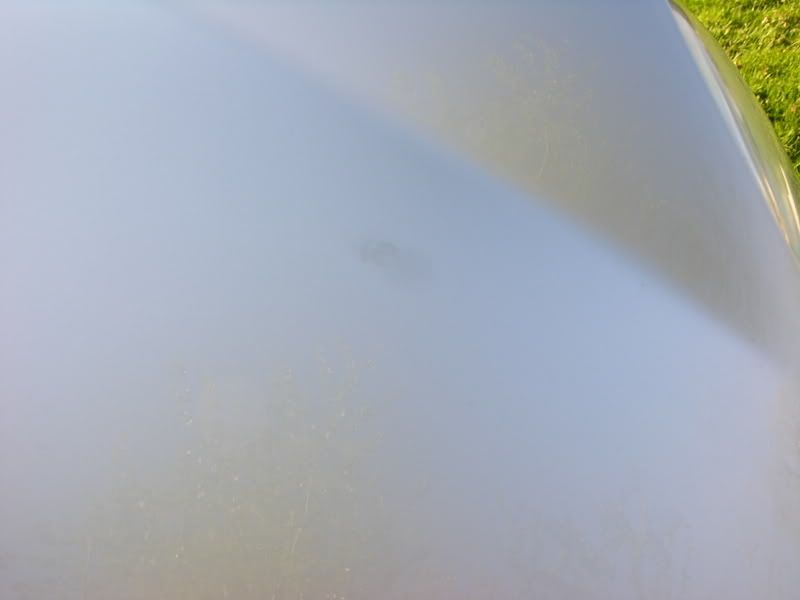 DSCN1229.jpg