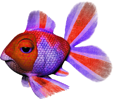 colorful fish glitter