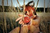 http://i110.photobucket.com/albums/n94/13th_rabbit/Cosplay/Spice%20and%20wolf/th_horo_07_2.jpg