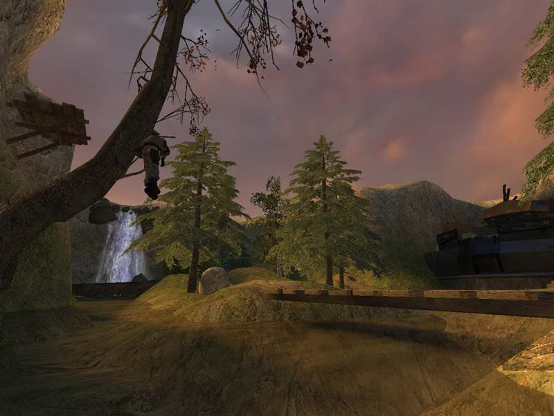  photo dm_forest_vendetta_mainpicture.jpg