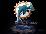 DolphinsReflection.jpg image by maxfresca