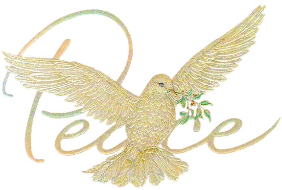 Peace Dove Pictures, Images and Photos