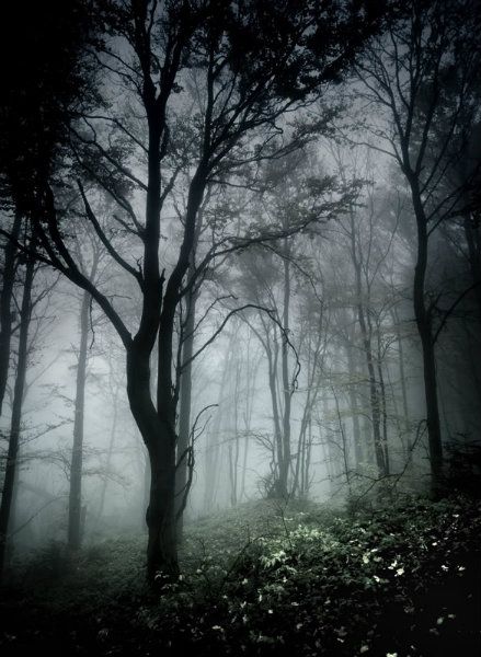 dark_in_forest_by_szuwar_zps58607090-1_zpsa3834e6c.jpg