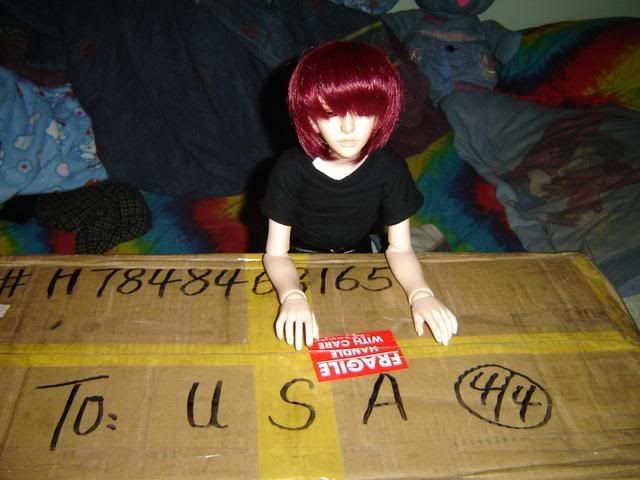 User Image