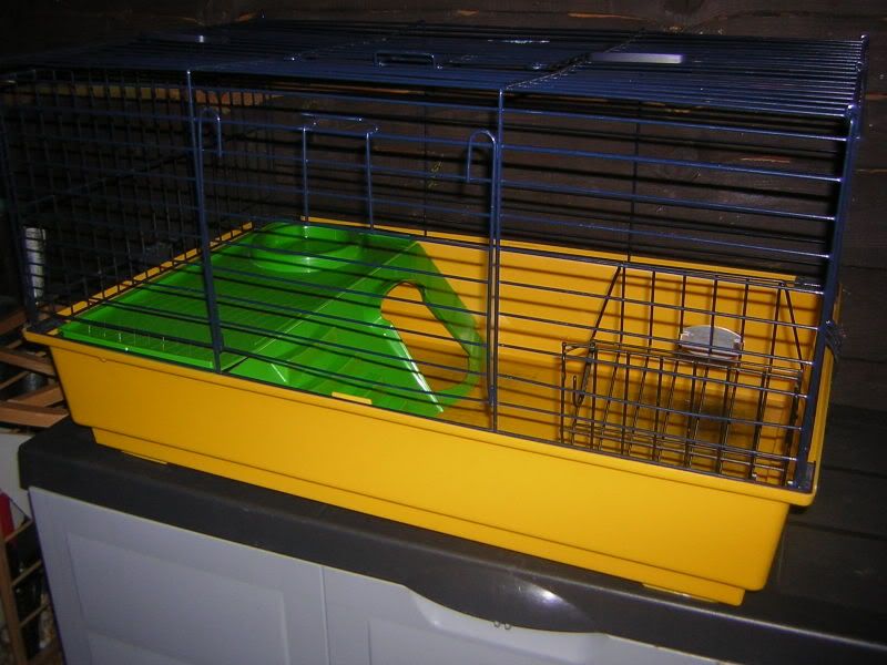 DSCN1304.jpg