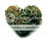 weed heart Pictures, Images and Photos