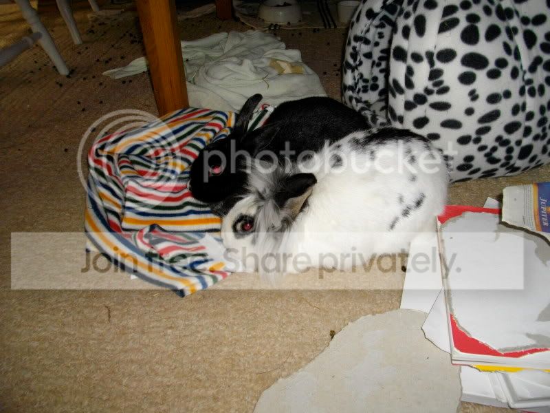 IMGP0087.jpg