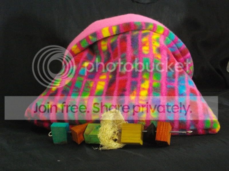 IMGP1121.jpg