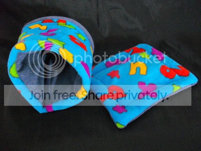 IMGP1136.jpg