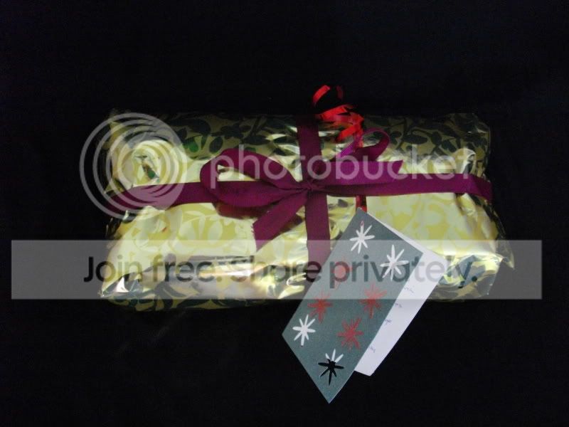 IMGP1137.jpg