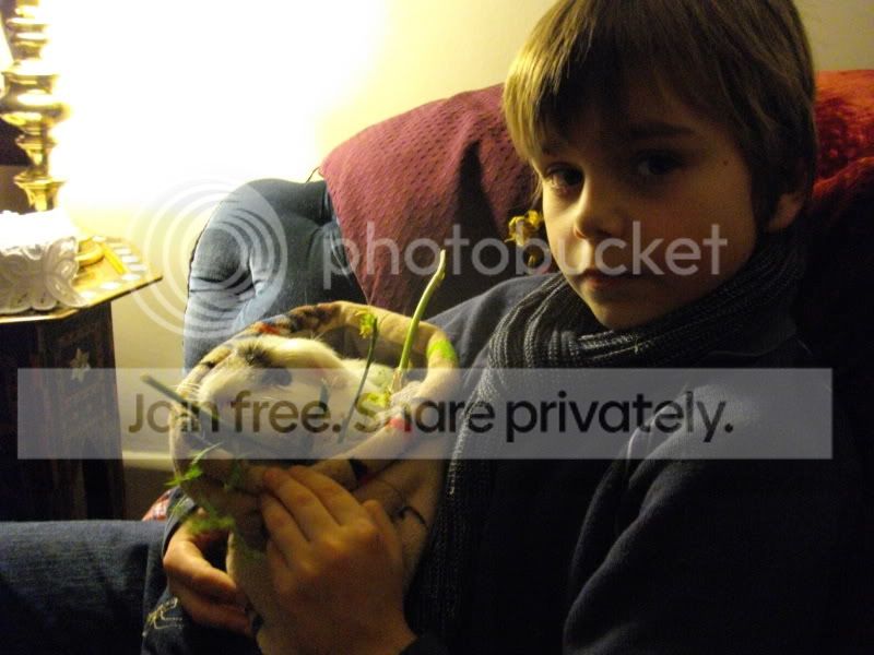 IMGP1246.jpg