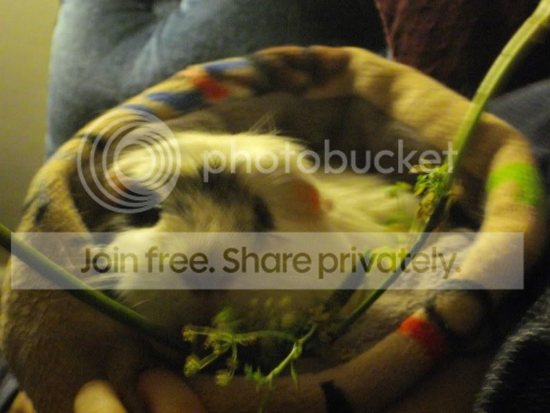 IMGP1247.jpg