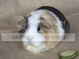 Picture014.jpg