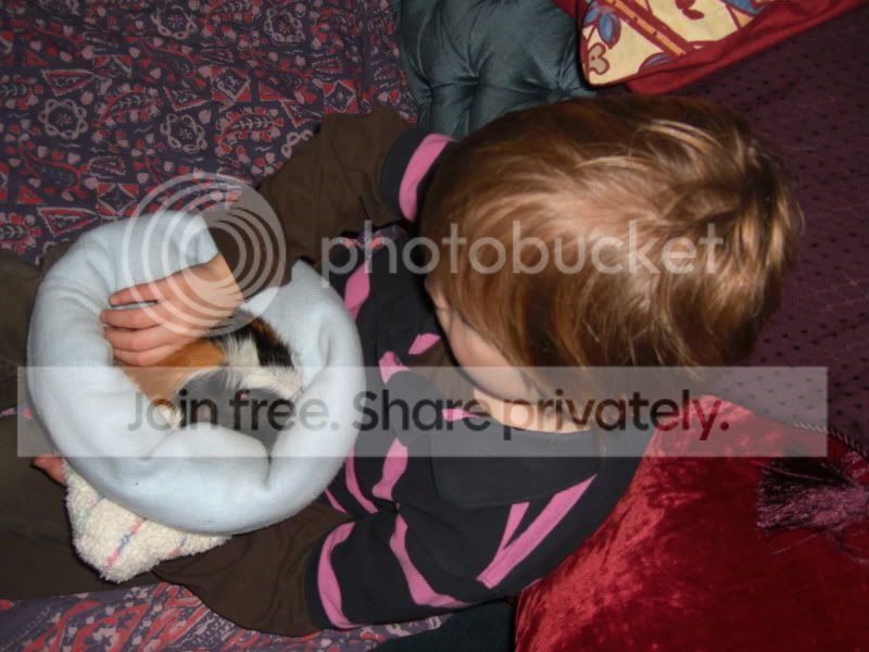 Piggies021.jpg
