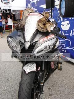 What's the difference between R6 and R7 | Yamaha R6 Forum: YZF-R6 Forums